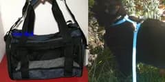 Någon som behöver kattväska o koppel?